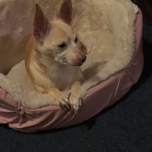 Meet your Posher, Luis angel